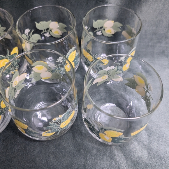 Steamless Glass Lemon Citrus Fruit Wine Juice Water Glasses. Garden Party - Picture 5 of 14
